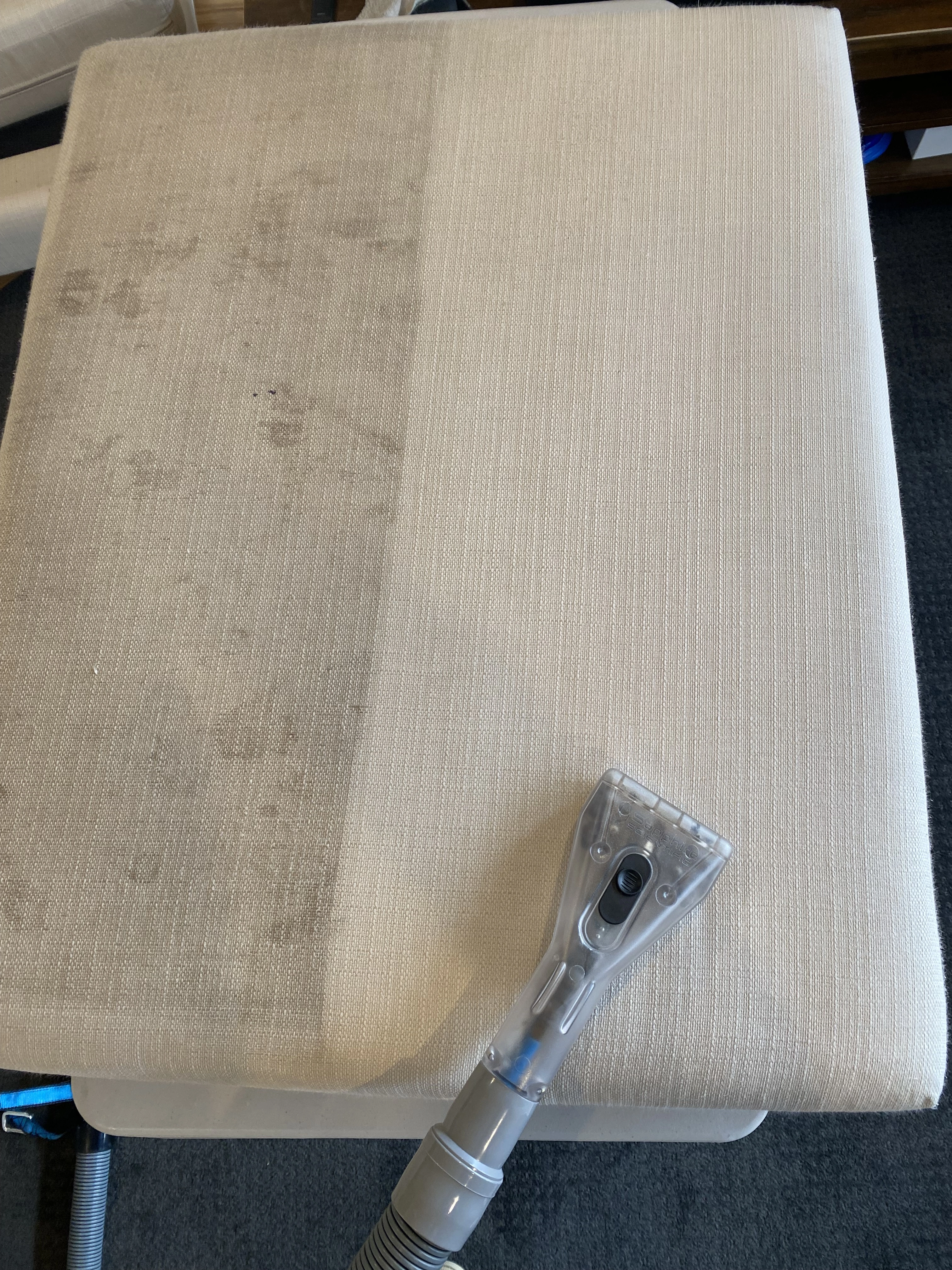 Professional Window Cleaning